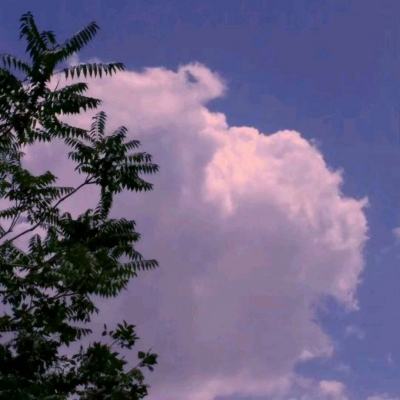 紫青双剑手游下载